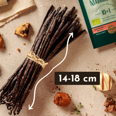 PREMA Vainilla Bourbon de Madagascar
