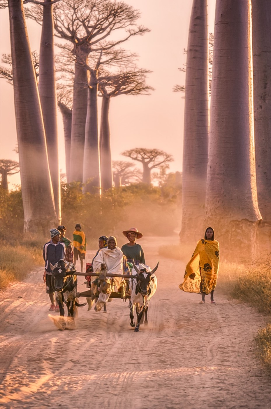 Madagascar real